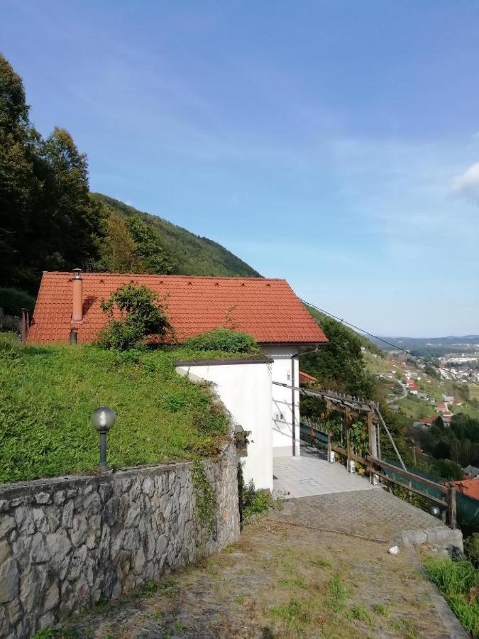 Wine House, Zidanica Gruden Villa Novo Mesto Dış mekan fotoğraf