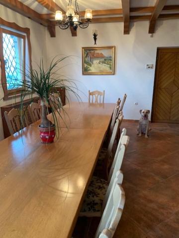 Wine House, Zidanica Gruden Villa Novo Mesto Dış mekan fotoğraf