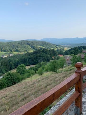 Wine House, Zidanica Gruden Villa Novo Mesto Dış mekan fotoğraf